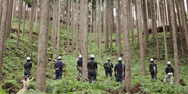 hyakumori_01.jpg hyakumori_01.jpg